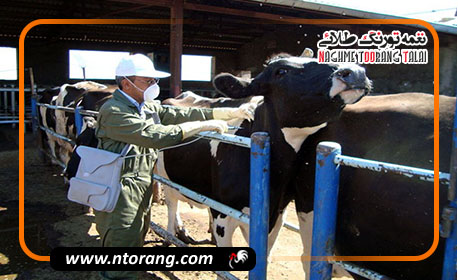 کاهش ۱۵ تا ۲۰ درصدی تولید شیر و گوشت به دلیل شیوع تب برفکی در کشور